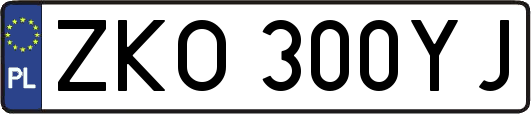 ZKO300YJ