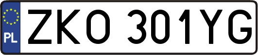 ZKO301YG