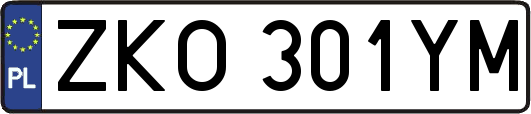 ZKO301YM
