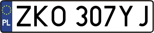 ZKO307YJ