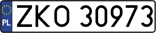ZKO30973