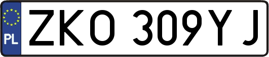 ZKO309YJ