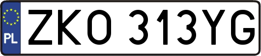 ZKO313YG