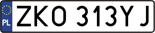 ZKO313YJ