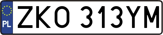 ZKO313YM