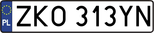 ZKO313YN