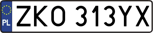 ZKO313YX