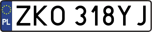 ZKO318YJ