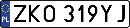 ZKO319YJ