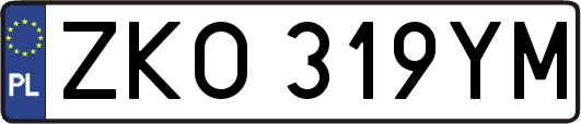 ZKO319YM