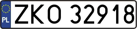 ZKO32918