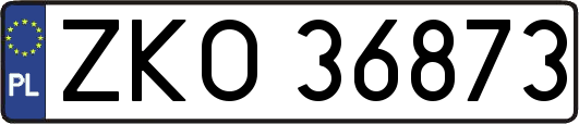 ZKO36873