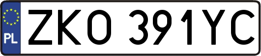 ZKO391YC