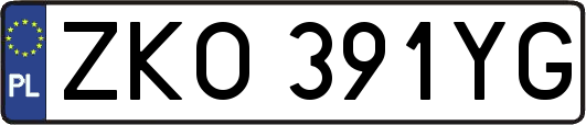 ZKO391YG