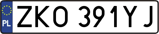 ZKO391YJ