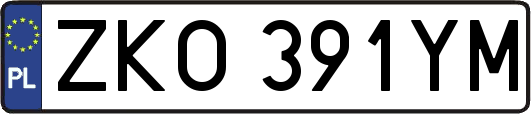 ZKO391YM