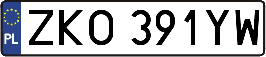 ZKO391YW