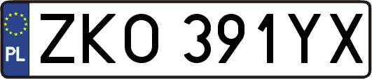 ZKO391YX