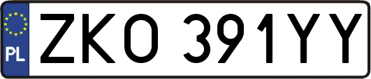 ZKO391YY