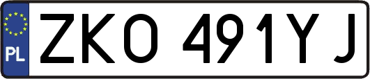 ZKO491YJ