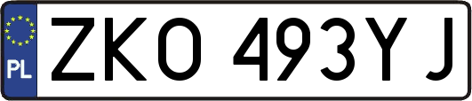 ZKO493YJ