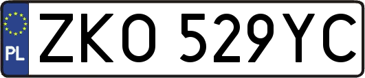 ZKO529YC