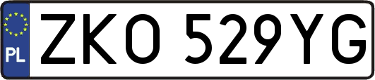 ZKO529YG
