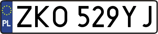 ZKO529YJ