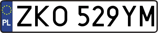 ZKO529YM