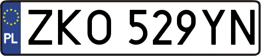 ZKO529YN