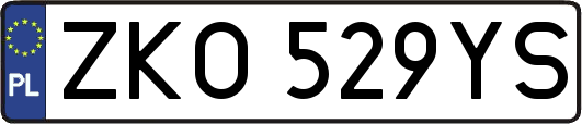 ZKO529YS