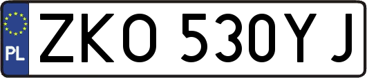 ZKO530YJ