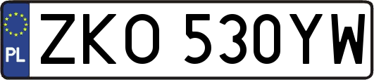 ZKO530YW