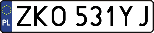 ZKO531YJ