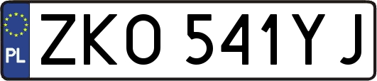 ZKO541YJ