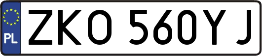 ZKO560YJ