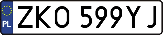 ZKO599YJ