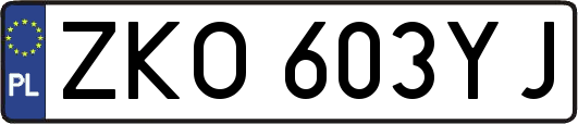 ZKO603YJ