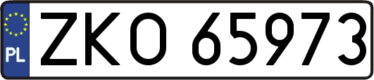 ZKO65973