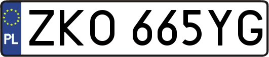 ZKO665YG