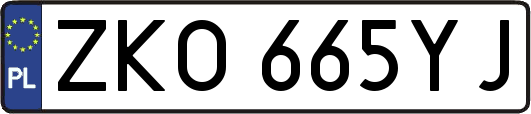 ZKO665YJ