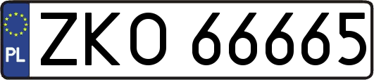 ZKO66665