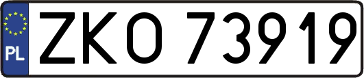 ZKO73919