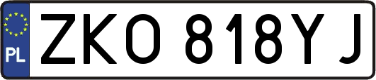 ZKO818YJ