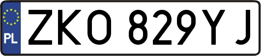 ZKO829YJ