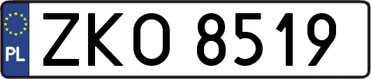ZKO8519