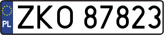 ZKO87823