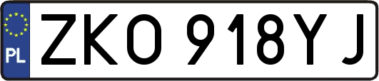 ZKO918YJ