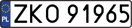 ZKO91965