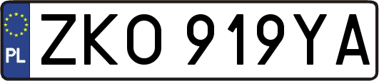 ZKO919YA